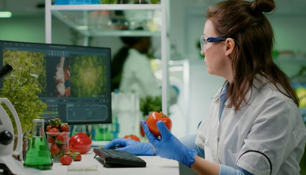 wireless temperature monitoring systems
