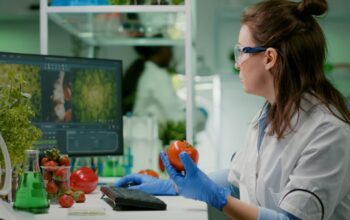 wireless temperature monitoring systems