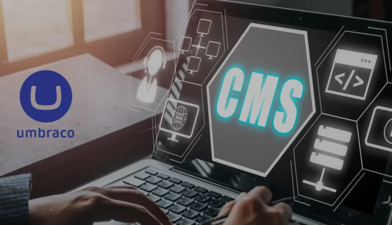 Umbraco Consulting